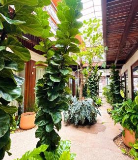 Mucuge Apartment | Vila Andorinha