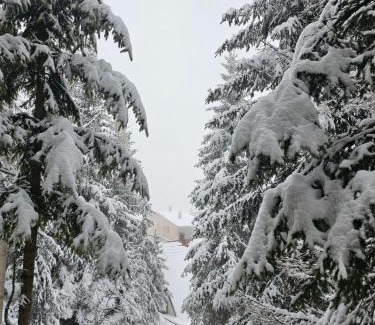 Babanovac Apartment | Vila Flora Vlašić