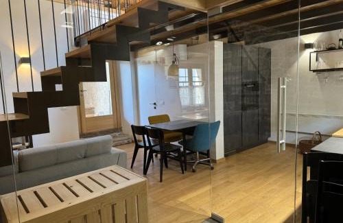 Slap Apartment | Vila Kobdilj 1835 Historic Homestead with Shared Courtyard