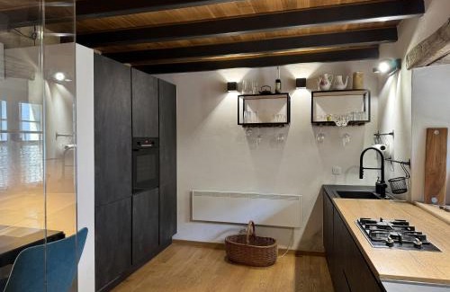 Slap Apartment | Vila Kobdilj 1835 Historic Homestead with Shared Courtyard