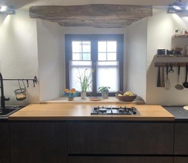 Slap Apartment | Vila Kobdilj 1835 Historic Homestead with Shared Courtyard