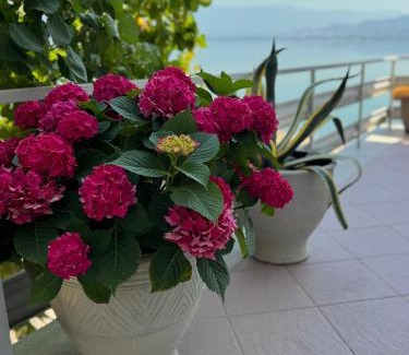 Star Dojran Apartment | Vila Popovi