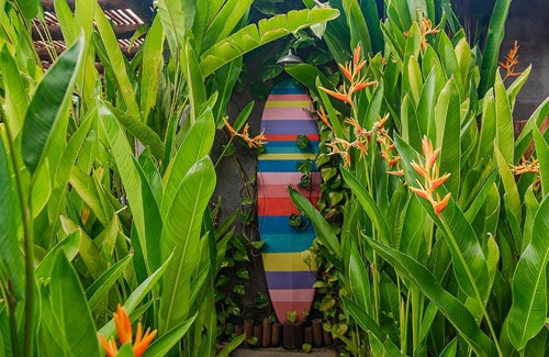 Floresta Velha House | Vila Sal Noronha