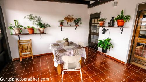 Llanos de la Concepcion House | Villa Abuelita Ana