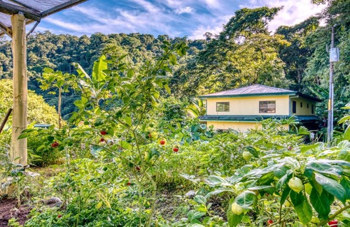 Ciudad Cortes Villa | Villa Amour, Toucan Valley, Jungle Mountain Village