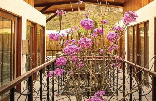 Mucuge Apartment | Villa Andorinha, Apt 03