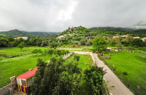 Kaluđerac Apartment | Villa Dolphin Apartments