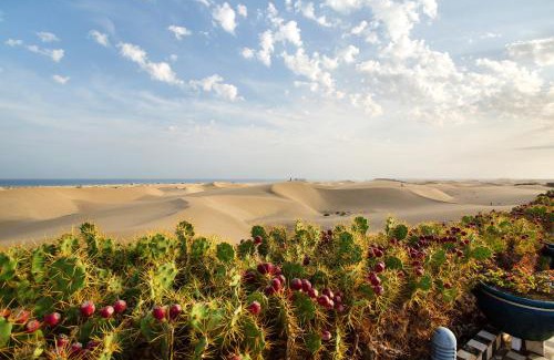 Playa del Ingles Villa | Villa Dunas Maspalomas