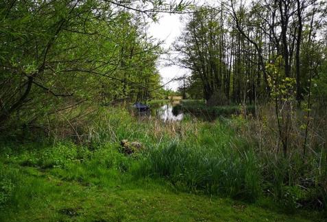 Gutzkow Apartment | Villa Eden Peene