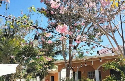 Celestun Apartment | Villa Gabriela #1 family room, 3 min from the beach