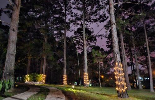 Valle de Angeles House | Villa Isabel