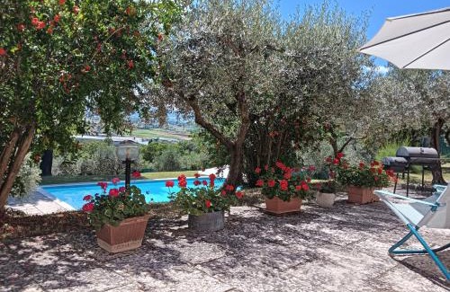 Capitan Loreto Bed & Breakfast | Villa Lavanìa