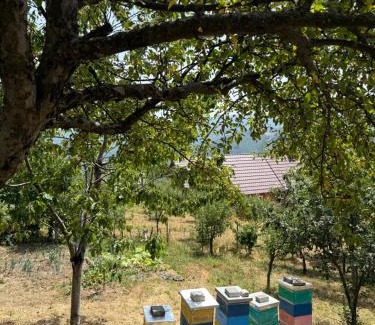 Pleshinë Villa | Villa Liri