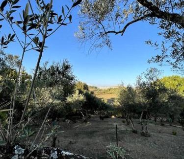 Cazalla De La Sierra Apartment | Villa María, casa rural en Cazalla de la Sierra.