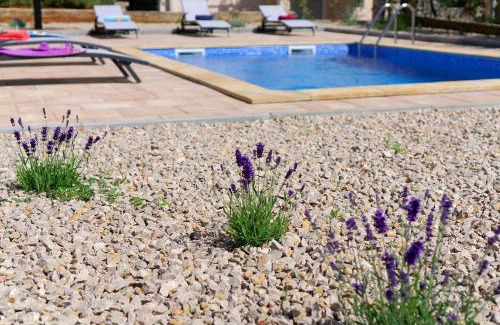 Vantacici Villa | Villa Nerium