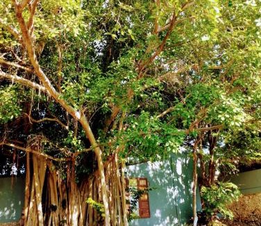 Centro Villa | Villa Octavia