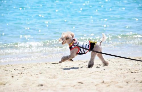 Taira Villa | Villa Plumeria