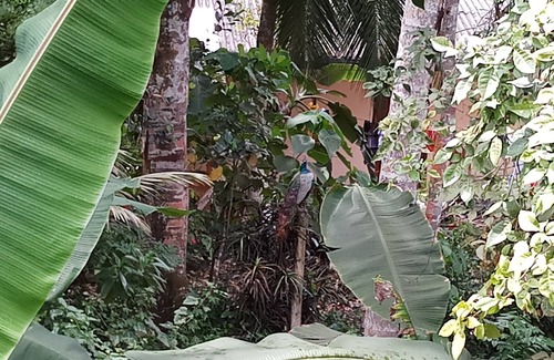 Bope-Poddala Villa | Villa River Paradise