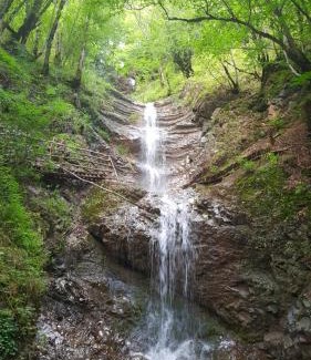 Oguz Villa | Villa Rolla