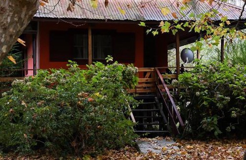 Partido de Tigre Cabin | Villa Sophia del Delta (Cabañas en la Isla-Tigre)