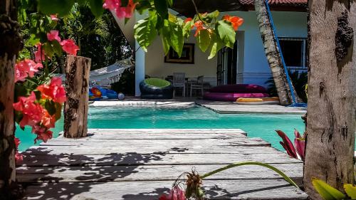 ProCab Villa | Villa Strelitzia Cabarete
