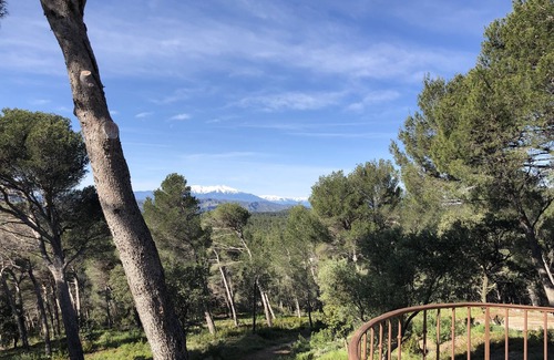 Espira de l'Agly Villa | Villa surrounded by nature, cicadas and pine trees