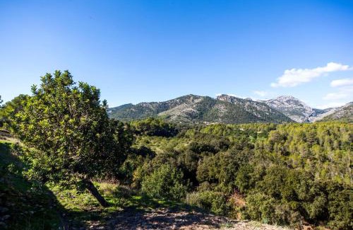 Selva Villa | Villa Tabou