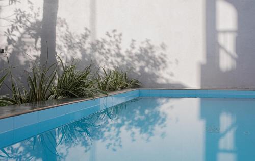 Rumassala Apartment | Villa Windfall Unawatuna