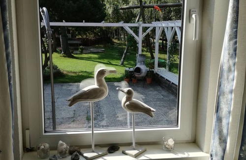 Pruchten House | Villa with 2 separate apartments for the "extended family" wanted?