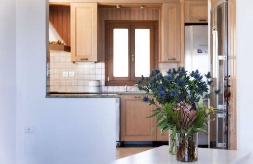 Mikri Vigla Villa | Villa with sea views, private pool, jacuzzi- sleeps 10+.