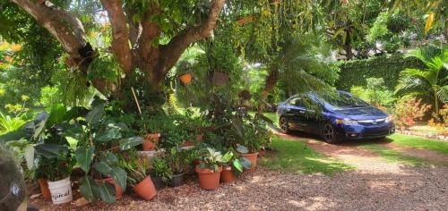 San Gregorio de Nigua Villa | Villas verde