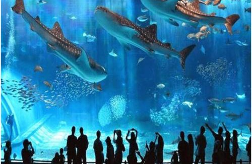 Hoang Mai Apartment | Vinhomes Times City 2BR Apt