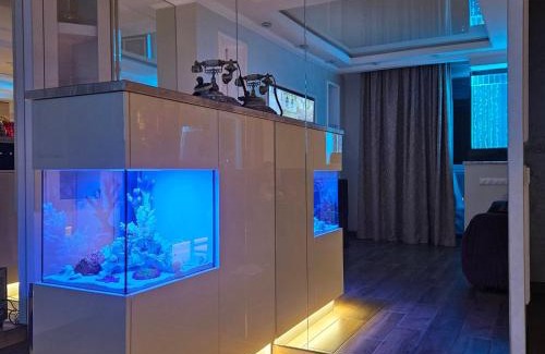Yavory Apartment | VIP Penthouse Apartments