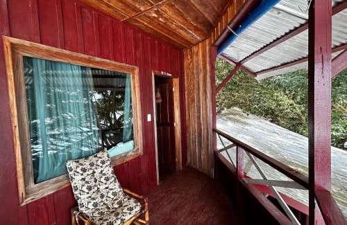 Amazon River House | Vista do Lago Jungle Lodge