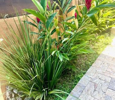 Caieira House | Vista dos sonhos na beira do mar de Angra com pier