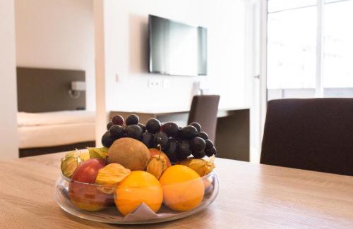 Steyr Apartment | Vitus Steyr Hotel & SPA Suites