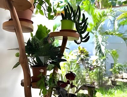 La Banda de Shilcayo Apartment | Vive a 5min del centro 3HAB con A/C Cochera Jardín