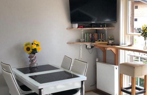 Babanovac Ski Chalet | Vlašić House