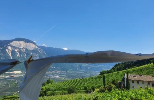 Kurtatsch an der Weinstraße Apartment | Voldersberghof