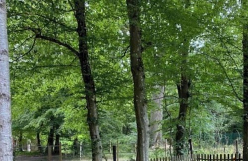 Le Coudray-Montceaux House | Vrbo Property