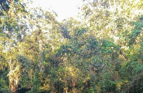 Sahy House | Vrbo Property