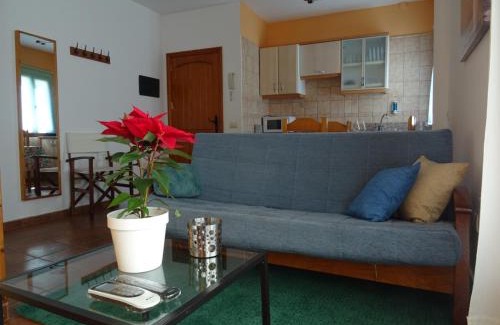 Tejeda Apartment | VV El Almendro