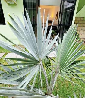 Piedade Apartment | W loft & residence