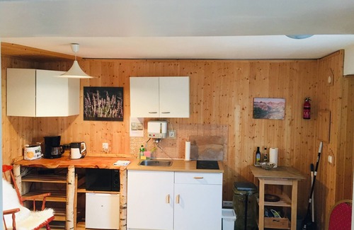 Hirschhorn Apartment | W3. Neckarblick, nature, old town, former supply house of Hirschhorn Castle.