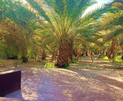 Western Province House | Wadi Sader