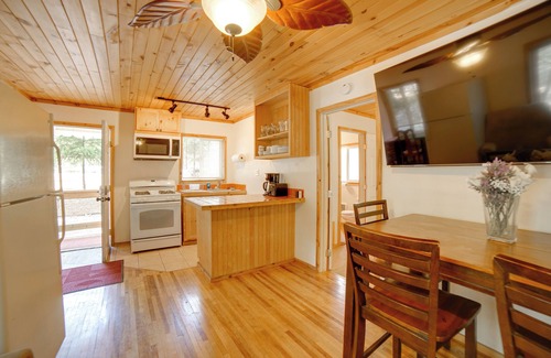 Lake County Cottage | Walk to Golf Course: Cobb Mountain Nature Escape