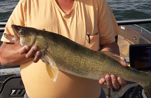 Penn House | Walleye and perch Capitol of North Dakota also duck and goose hunting