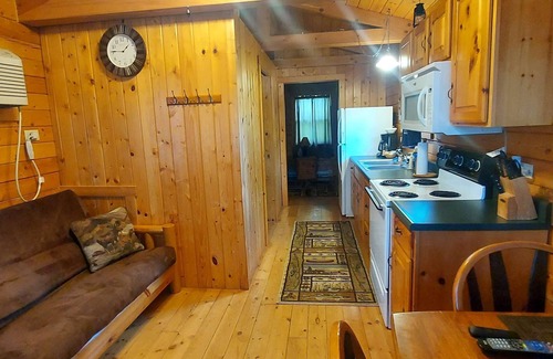 Moravia Cabin | Walleye - Sleeps up to Five