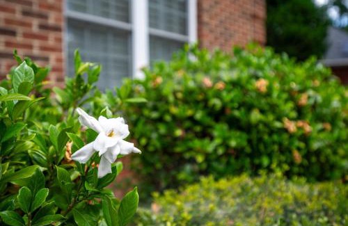 Olivia House | WaterEdge Lake House