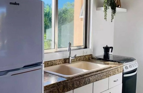 Puerto Aventuras Apartment | Waterfront Tropical Apartment